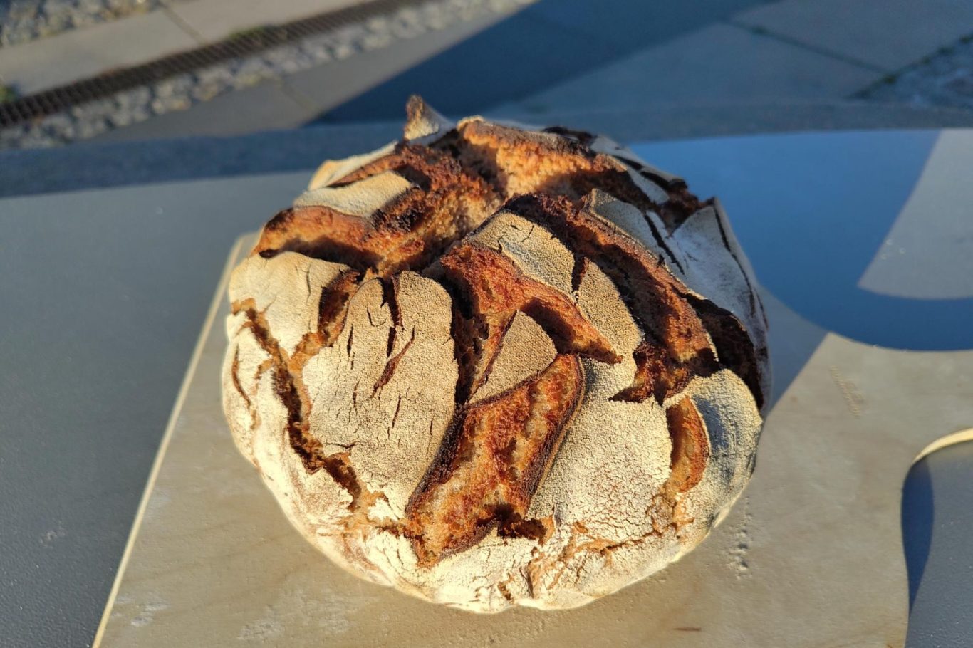 Ein knusprig gebackenes Brot
